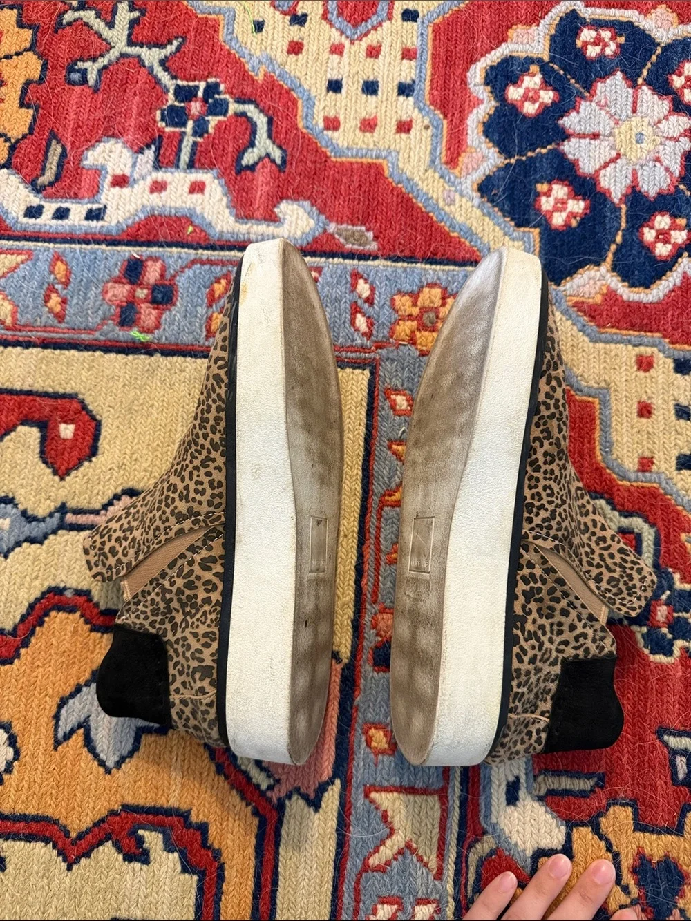 Dolce Vita Leopard-Print Slip-On Sneakers with Black Heel Accent